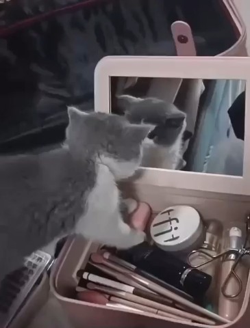 Вячеслав Кузнецов в LOOKY — Ночи 🌙