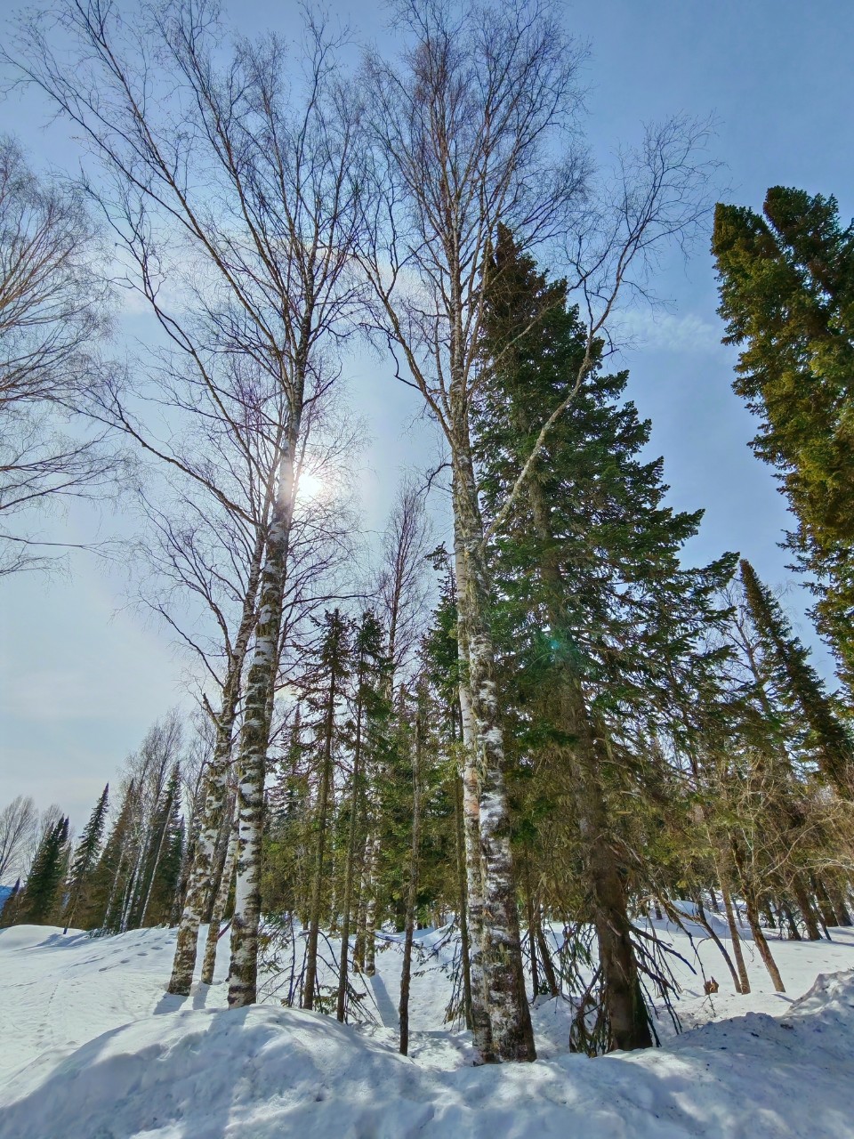 Vikilife в LOOKY — фото 1