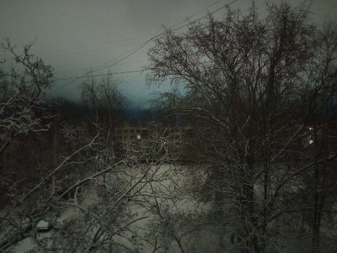Vermitrall в LOOKY. . 