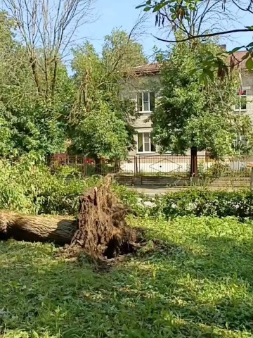 nikolaeva692019 в LOOKY. . А у нас в Твери пото...