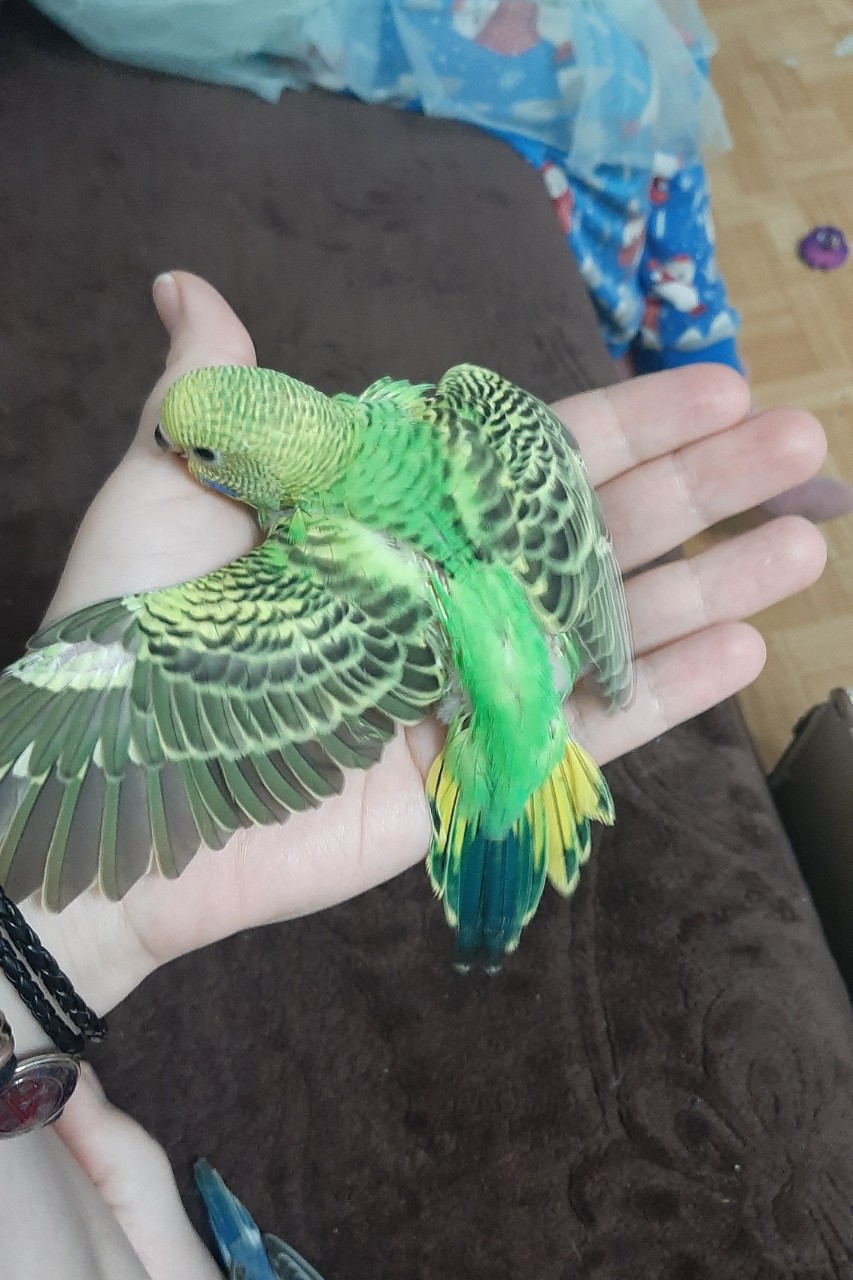 Natali-Om в LOOKY — фото 2