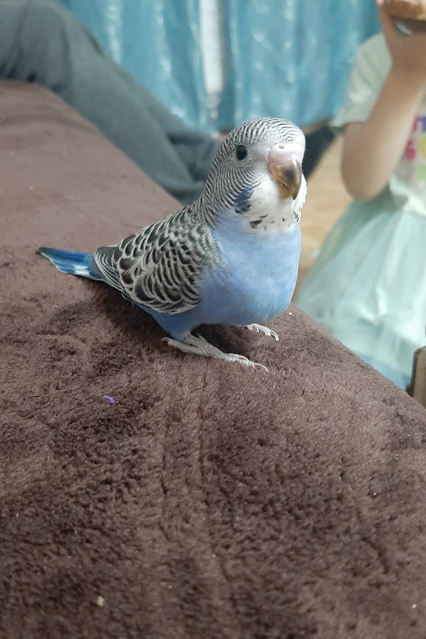 Natali-Om в LOOKY — фото 4