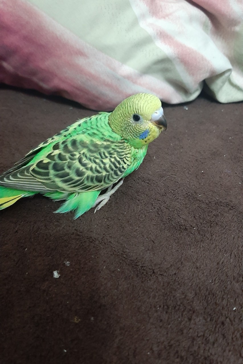 Natali-Om в LOOKY — фото 3