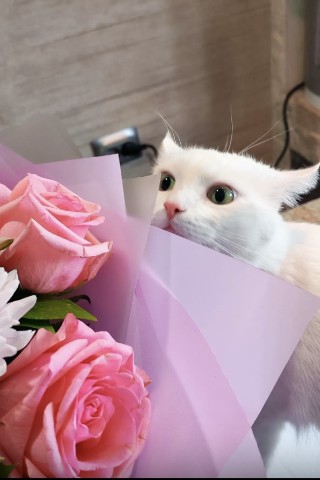 Looky_1701101074985 в LOOKY. . 