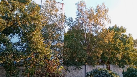 lisenok82 в LOOKY — публикация