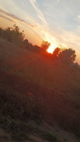 Екатерина в LOOKY. . Красота😍💓