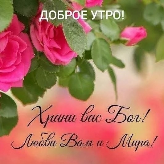 ДедМед в LOOKY — публикация