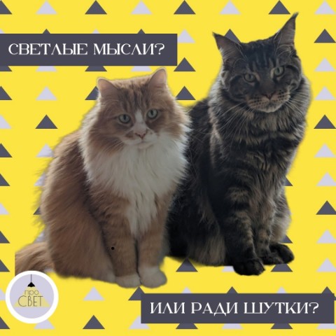 Светлана в LOOKY. . Живу на третьем этаж...