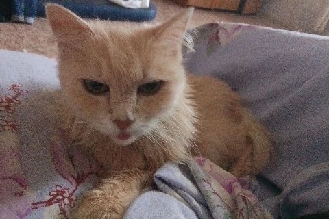 Настя в LOOKY. . Помидорка моя🍅