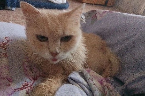 Настя в LOOKY — Помидорка моя🍅