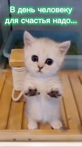 Looky_1681206064824 в LOOKY. . Счастье 🥹