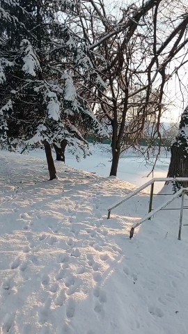 istarikova86 в LOOKY. #природаобнимименя,#гуляем,#дигора,#осетия,#зимавосетиии. Вспоминаем с Цезарем...