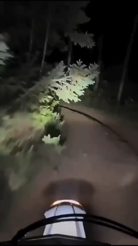  в LOOKY — публикация