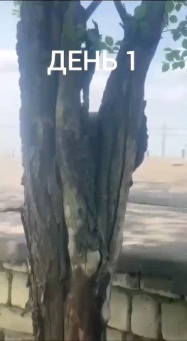 Looky_177234195672899 в LOOKY. . ВОЛГОГРАД 🆘🆘🆘ОБРА...