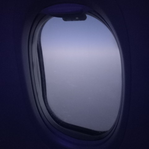 stpronin в LOOKY. . Полетели в отпуск, м...