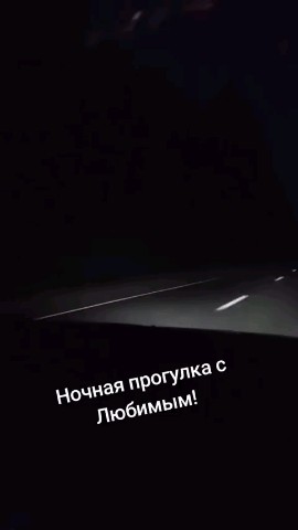 ВОЛК СЕРЫЙ в LOOKY — публикация