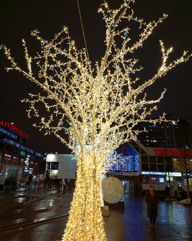 C1arina в LOOKY. #newyear2024. Волшебный лес на Мар...