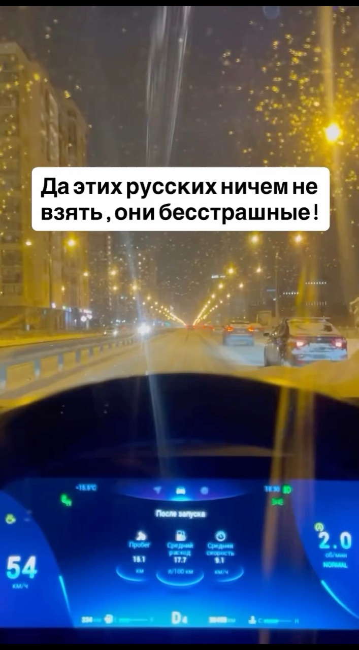 Елена Владимировна в LOOKY. #сновымгодом,#лошади. #сновымгодом #лошади