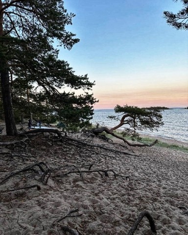 Zheniya_travels в LOOKY. #ладога,#ладожскоеозеро,#поход,#путешествие,#туризм,#байдарки,#лупа,#фотонателефон. Белые ночи на Ладоге...