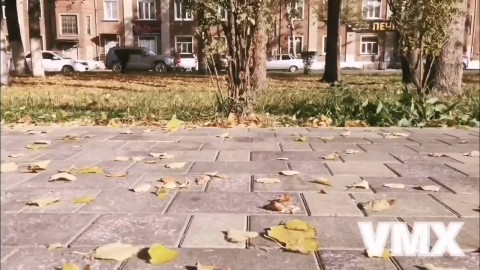 Looky_173425363151748 в LOOKY. . Мини видео. "Борьба ...