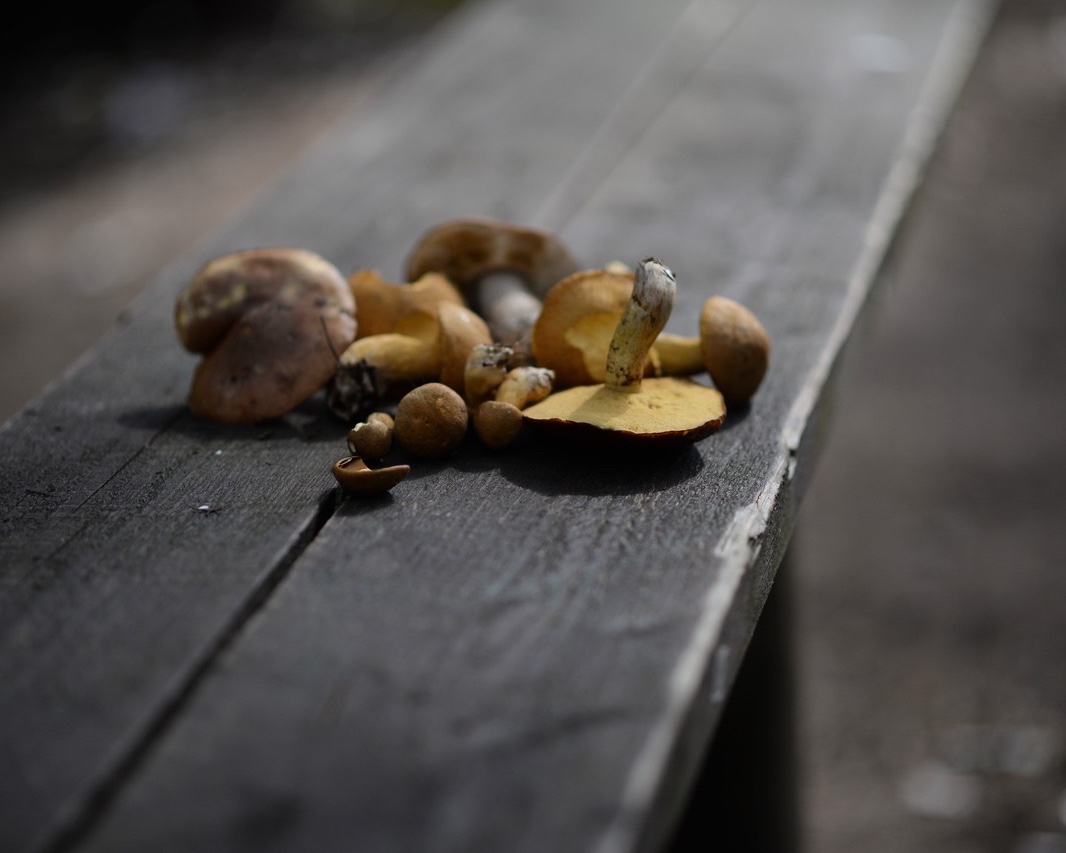 nadinfoodfoto в LOOKY — публикация