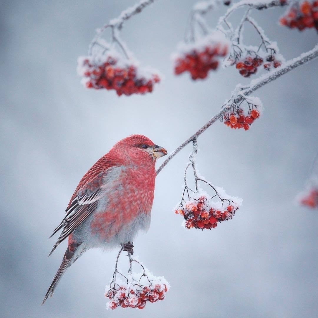 [#природа](природа) [#красота](красота) [#красиво](красиво) [#красотавокругнас](красотавокругнас) [#мир](мир) 