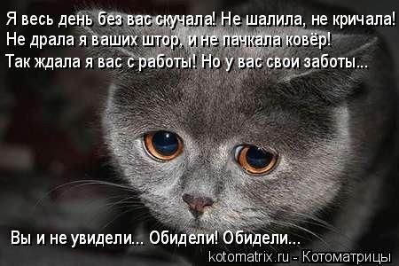 Zoozashita_1784473998Masha в LOOKY — публикация