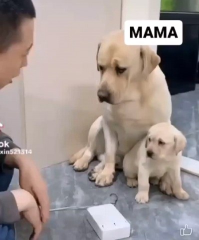 Kitty в LOOKY. . Как же мило🐾☺🥰❤🐾
...