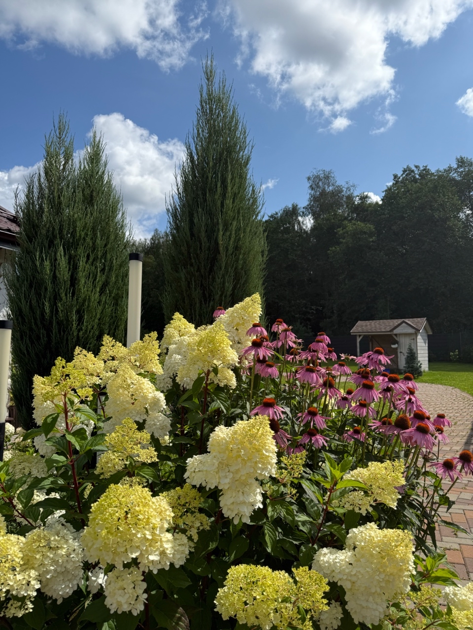 catherine___garden