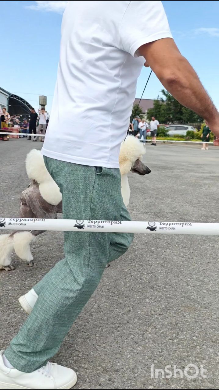 Наталья в LOOKY. . Бальзам для ушей вла...