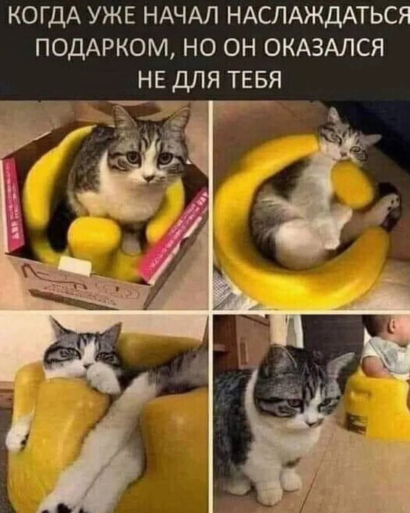 БезАптек в LOOKY — #прикол #юмор [#мемы ](мемы)
