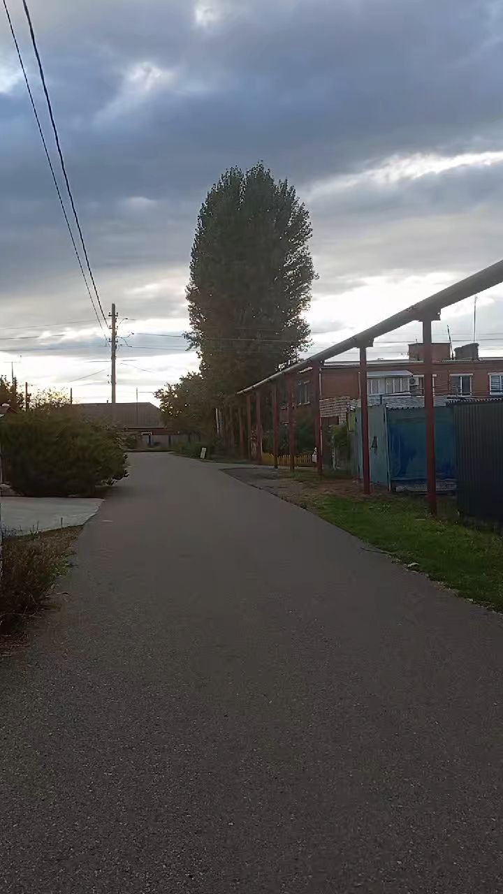 Олеся в LOOKY — публикация