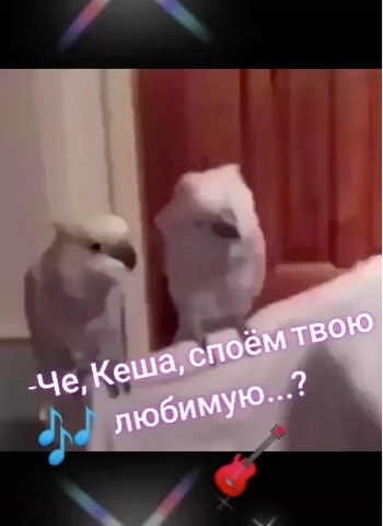 Looky_1673679376382 в LOOKY. . Всем отличных выходн...
