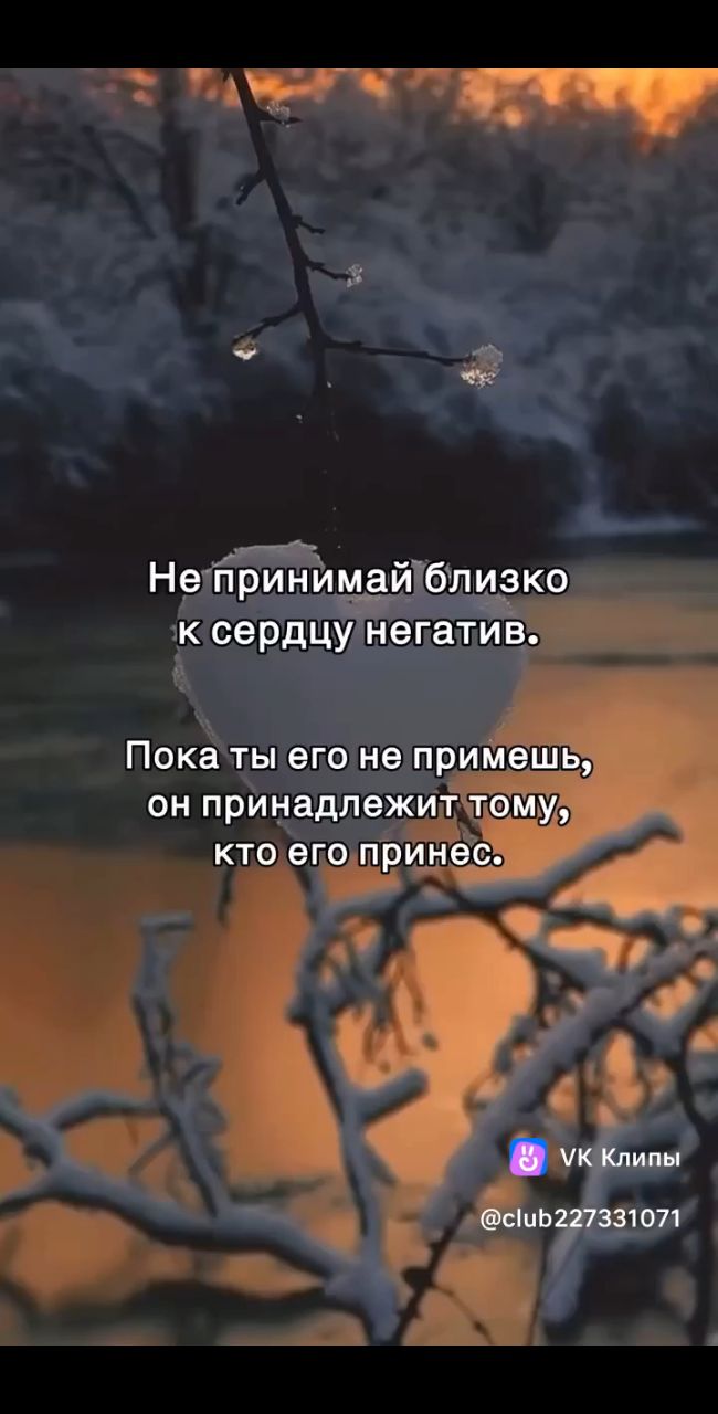 Looky_1719732965049 в LOOKY. . 