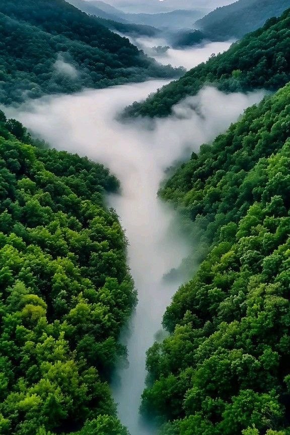 all_about_nature079 в LOOKY — фото 3