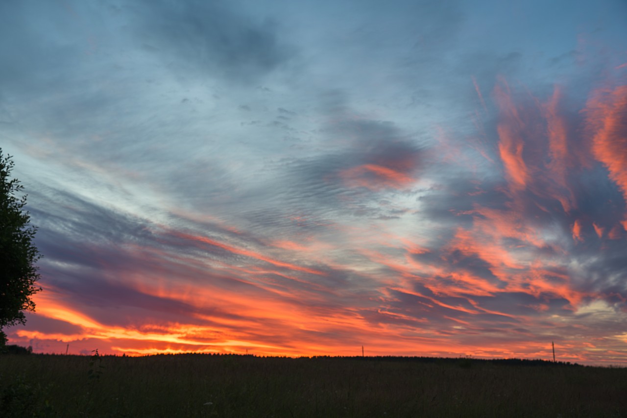 poboruev_landscape in LOOKY