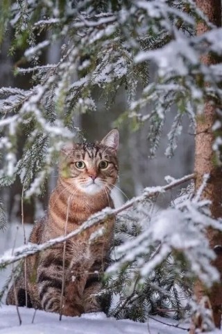Артём Скарлупкин в LOOKY. . Наблюдатель! 😊