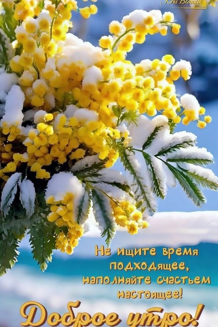 Галина Аллерт in LOOKY. . 