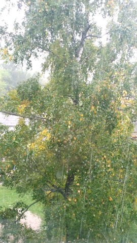 Дождь, дождь.... Холодно... Совсем не хочется выходить на улицу...☂️🌧️☔💧