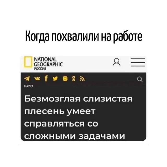  в LOOKY — публикация