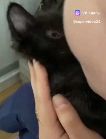 #Котя