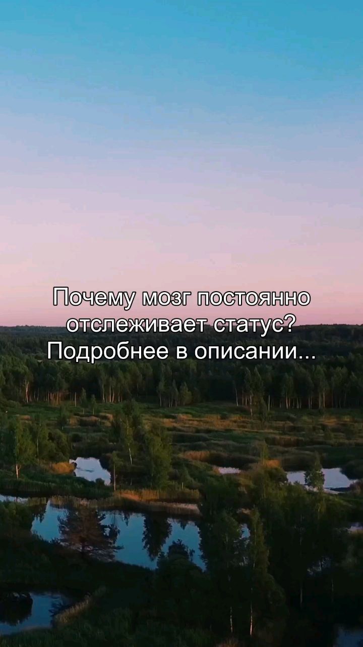 Oleg_teem в LOOKY. #статус,#мозг,#выживание,#психология,#осознанность. Ты замечаешь, кто вы...