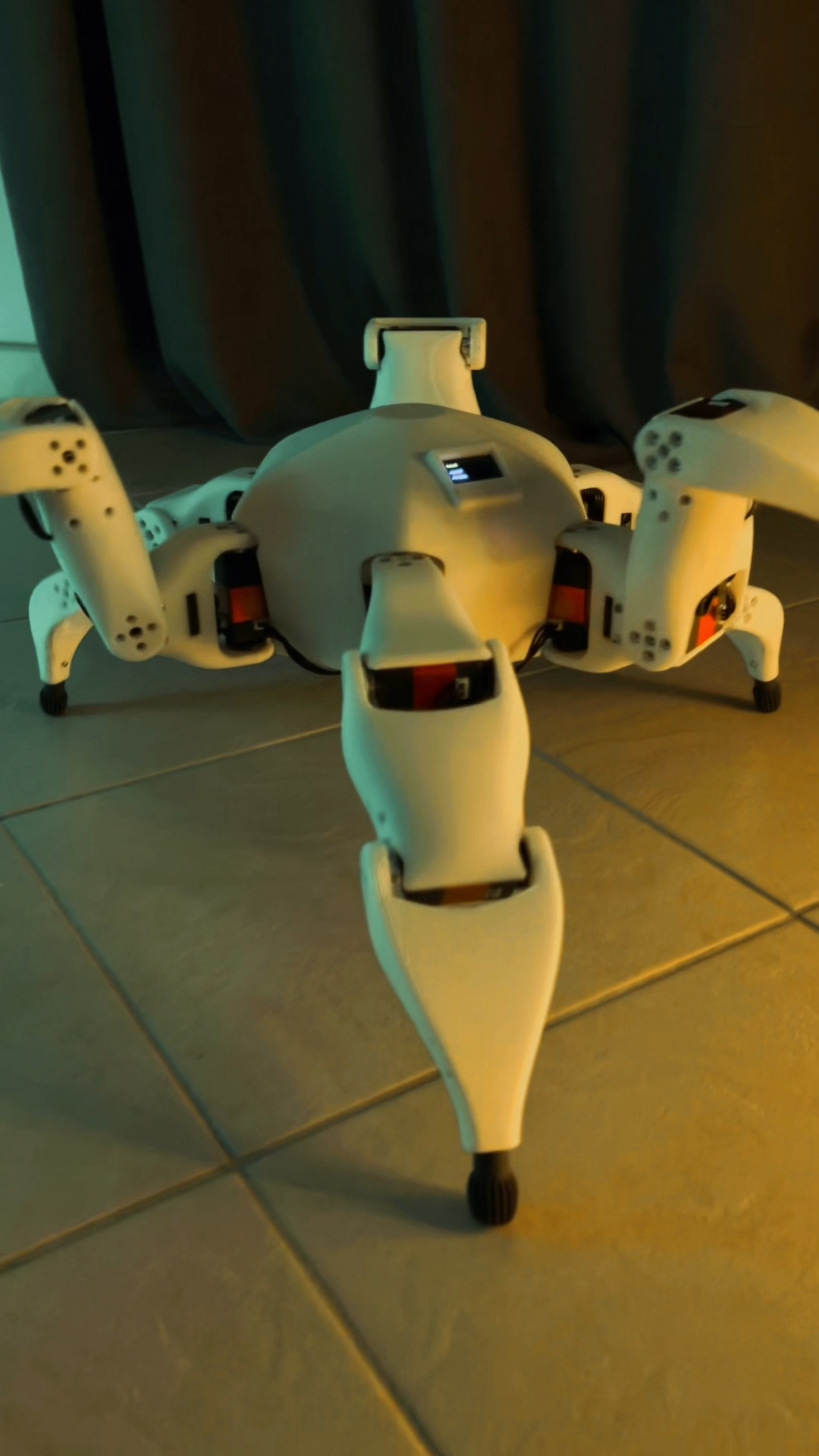 CRAZYBOTS в LOOKY. #робот,#роботы,#робототехника,#стартап,#robot,#robotics,#crazybots,#технологии,#ии,#ai. Создаём роботов в Са...