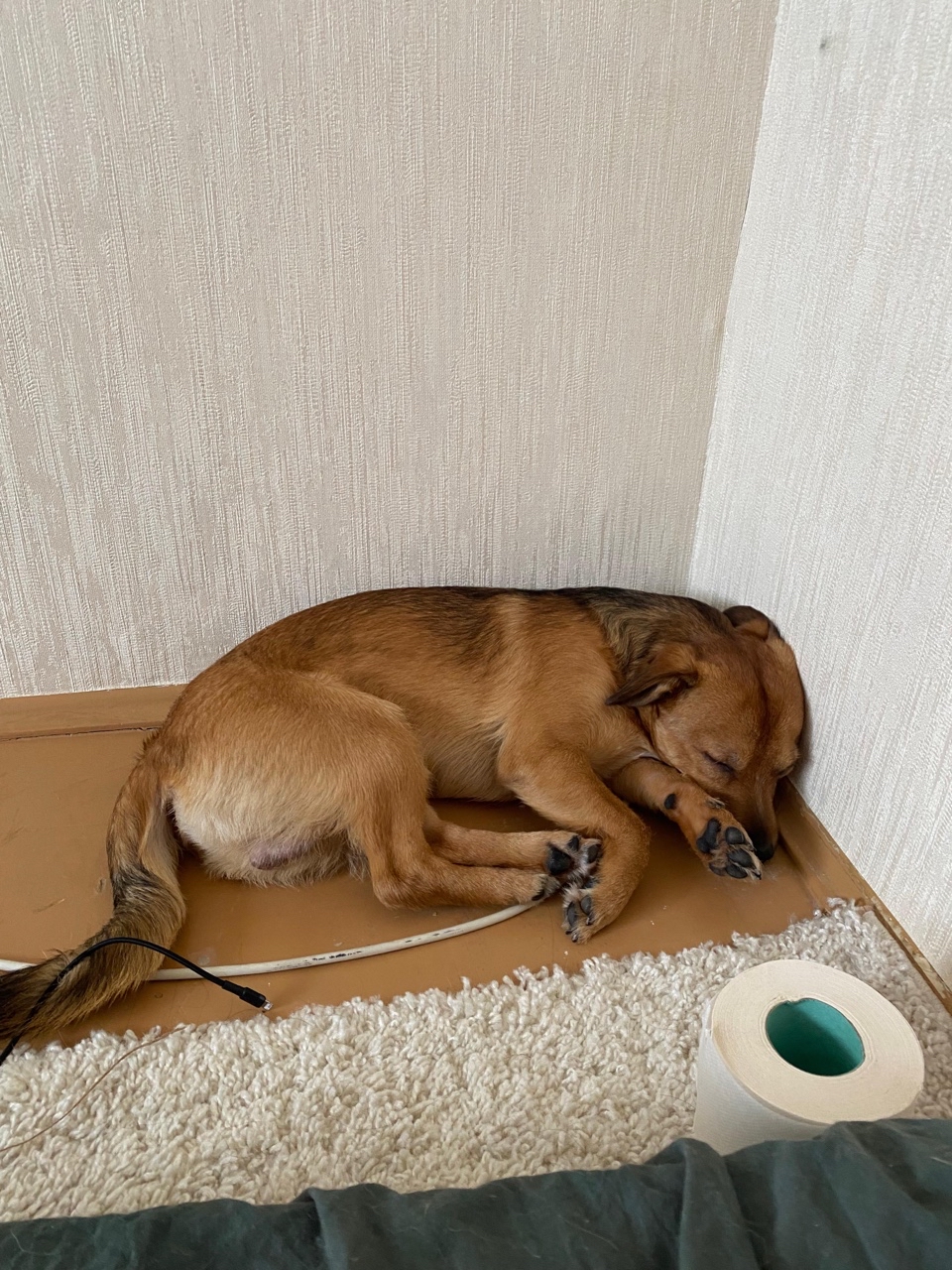 Looky_1709877057152 в LOOKY — #луксик