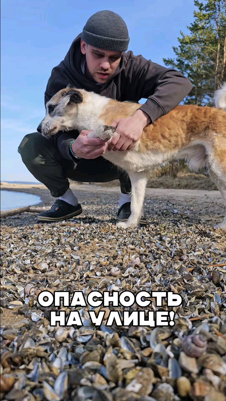 Harly_Miami в LOOKY. . С этим сталкивается ...