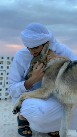 fazza3 в LOOKY. . 