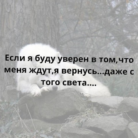 Костя Пакистан в LOOKY. . 