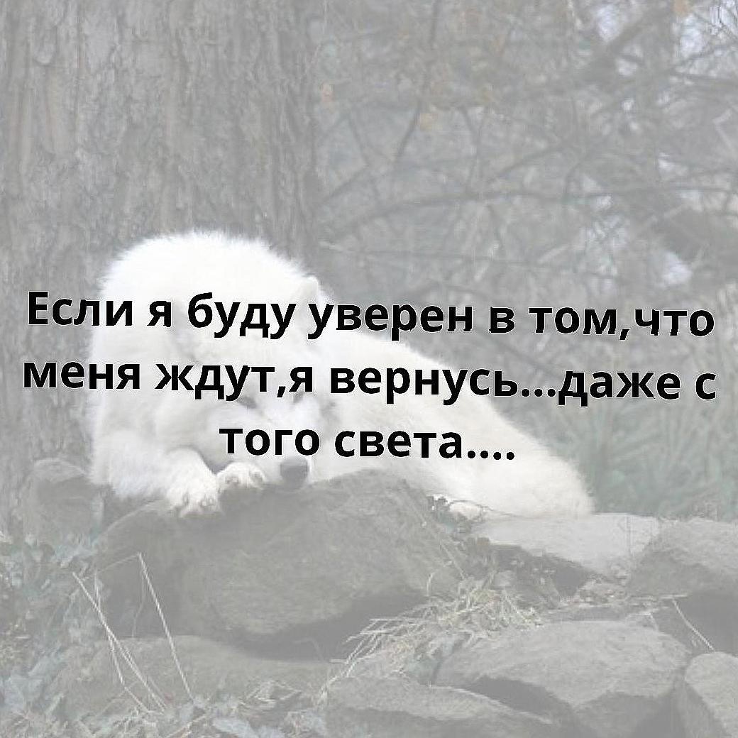 Костя Пакистан in LOOKY. . 