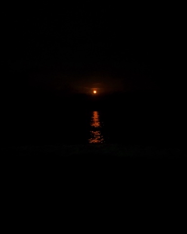 iamdanbog в LOOKY. . Недавно прочитал: «д...