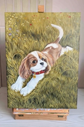 zhemchugova_artist в LOOKY. . Милый Бадди 🐾
Холст...